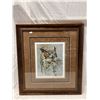 Image 1 : Framed Robert Bateman Print Of Owl #304/950 Signed In Pencil By Robert Bateman