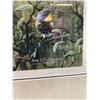 Image 2 : Framed Print Of Flowers By Don Li-Legeer #32/80