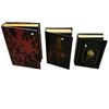 Image 2 : 3 Large False Books