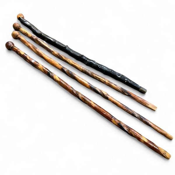 5 Assorted Walking Canes