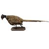Image 2 : Vintage Taxidermy Pheasant