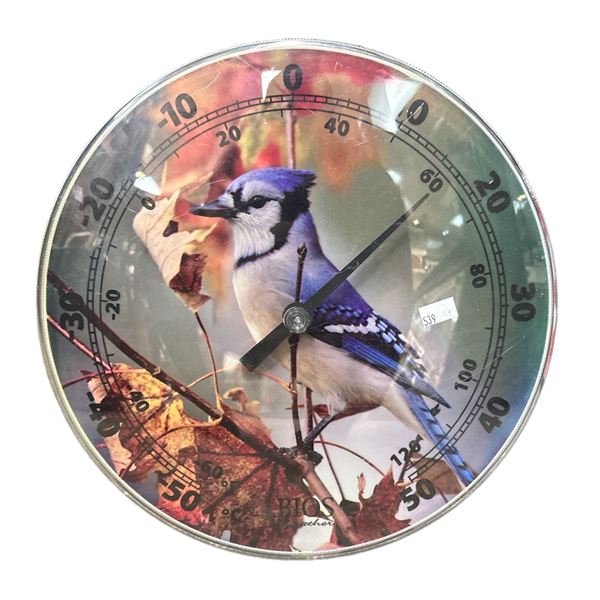 Blue Jay Thermometer