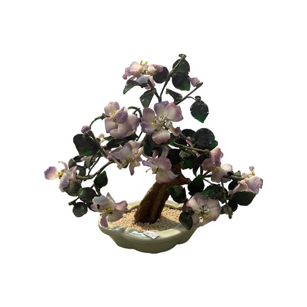 Chinese Jade Tree