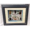 Image 1 : Framed Entomology Insect Collection