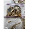 Image 2 : Large Assortment Of Seashells