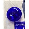 Image 2 : Bristle Blue Glass Paper Weight In Original Box
