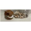 Image 2 : Large Assortment Of Seashells