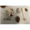 Image 3 : Large Assortment Of Seashells