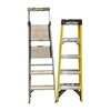 Image 1 : 2 Ladders, Gorilla And Werner