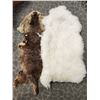 Image 1 : Otter Fur Pelt & Wool Sheep Pelt