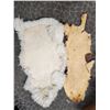 Image 2 : Otter Fur Pelt & Wool Sheep Pelt