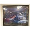 Image 1 : Framed Print "Natures Wonders"