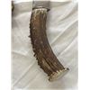 Image 2 : Large Antler Handled Knife In Leather Sheath