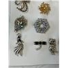 Image 2 : Assorted Costume Brooches On Felt