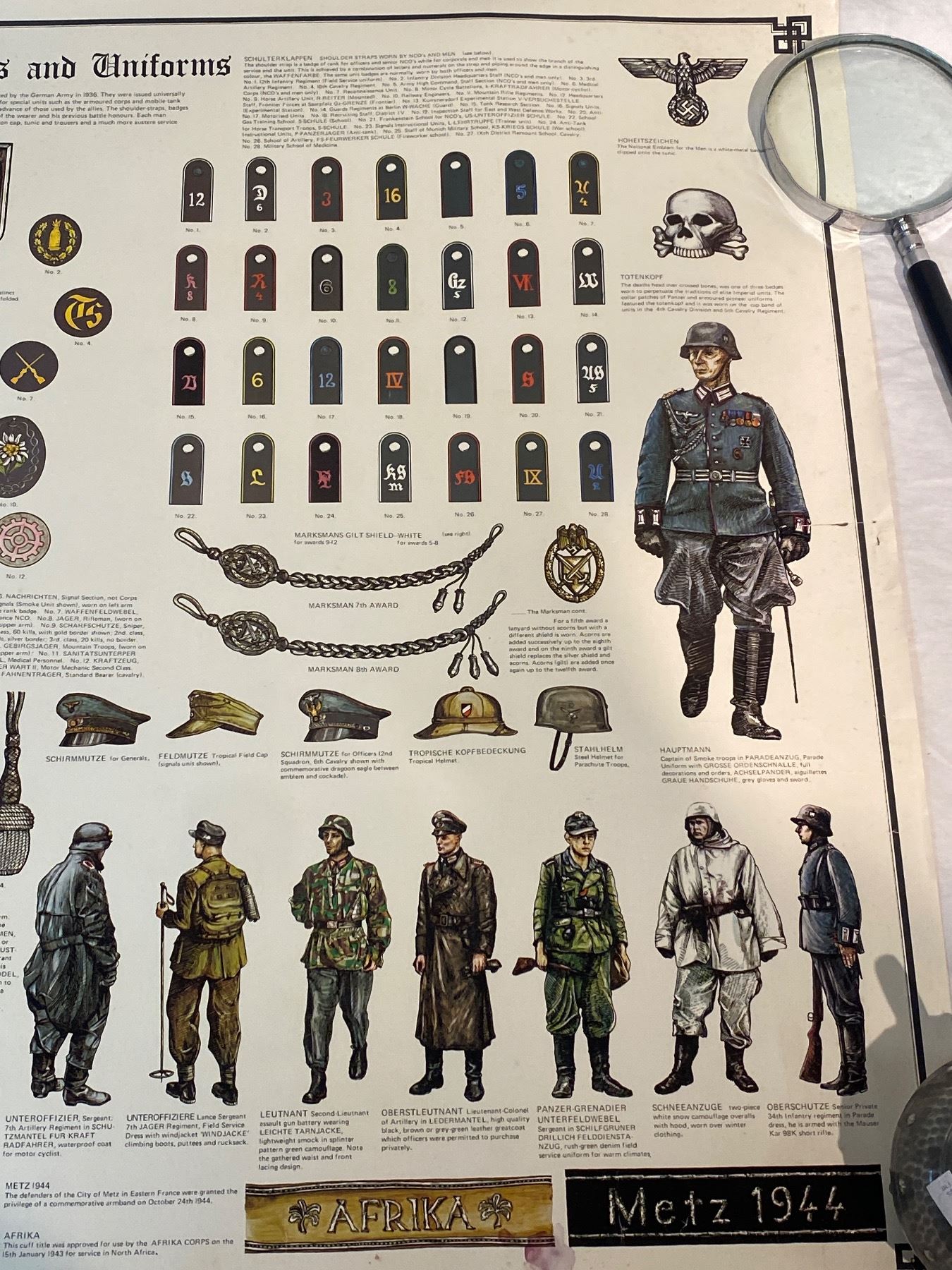 German Army Ranks And Uniform Poster