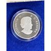 Image 3 : 2013 $10 Niagara Falls Fine Silver Canada Coin