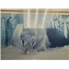 Image 2 : Large Framed Robert Bateman Print Of Lynx