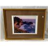Image 1 : Framed Photo Of Beach 40/850