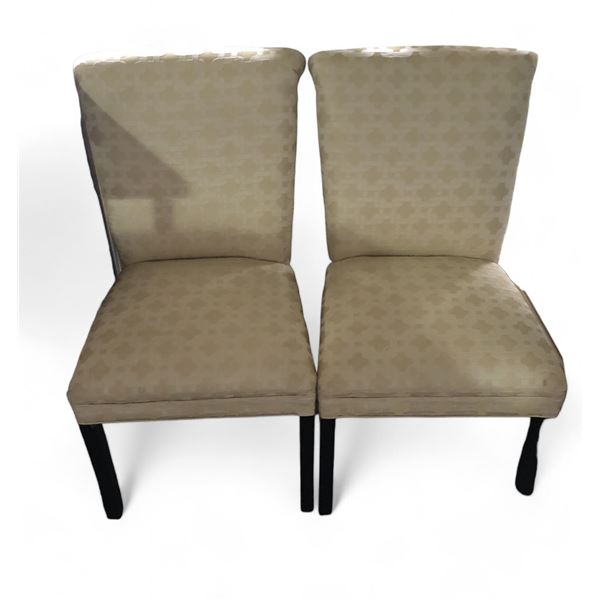 Group of 2 Dining Chairs
