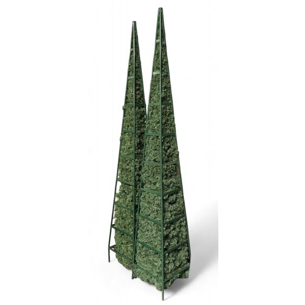 Group of 2 Artificial Topiary Trees
