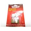Image 1 : 2 PK 3/4" SOLID BRASS PADLOCK