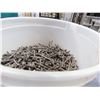 Image 1 : 1 3/4" NAILS , APPROX 1/2 PAIL