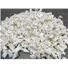 Image 1 : CABINET SHELF SUPPORT,  WHITE PLASTIC