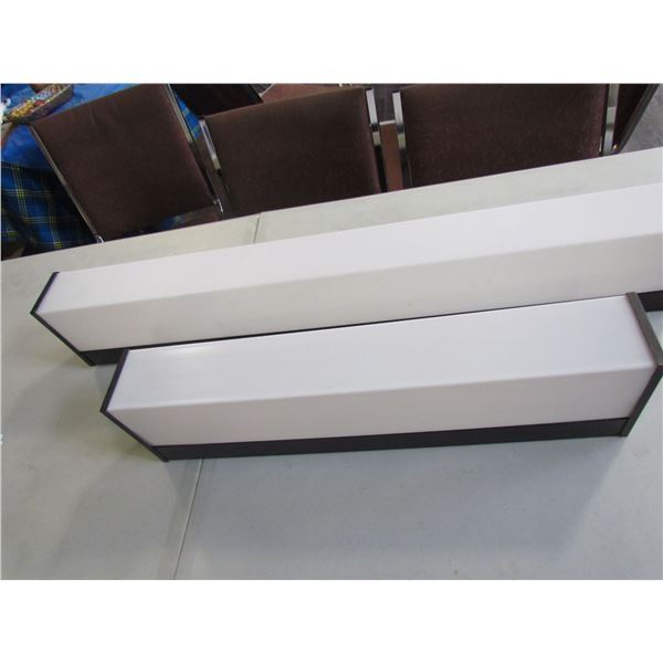 3 FT AND 2 FT FLUORESCENT LIGHTS  BLACK TRIM