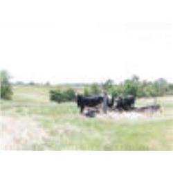 The NE/4 of Sec. 26, Twp. 21N, R. 8 W.I.M., Garfield Co., OK.