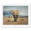 Image 1 : Elephant Territory by MacIntosh, Rob