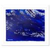 Image 1 : Untitled by Wyland Original
