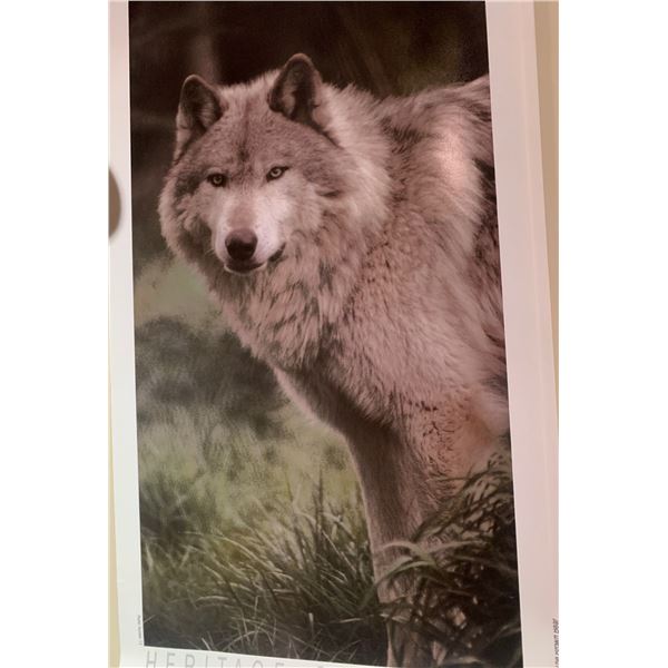 Heritage collection posters -- Predator Series