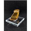 Image 1 : Tiger Eye Specimen On Display. Retails $280.00