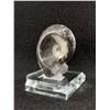 Image 2 : Orthoceras Cephalopod Fossil. Retails $380.00