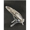 Image 2 : Orthoceras Fossil. Retails $380.00