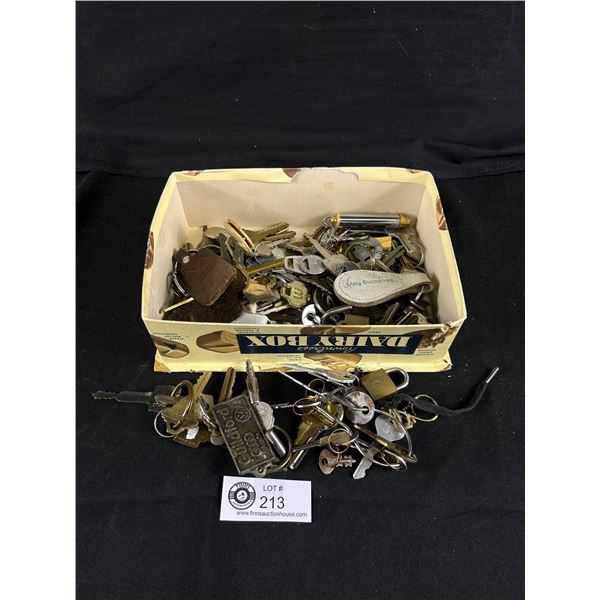 Assortment Of Keys, Keychains & Locks