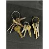 Image 3 : Assortment Of Keys, Keychains & Locks