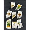 Image 3 : Vintage Assortment Of Military Regimental Silk Badges, Cameronian Scotish Rifles & Assaye Hat Badges