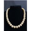 Image 1 : Large Sized Pear Necklace