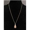 Image 1 : Sterling Silver Haida Pendant with Sterling Chain