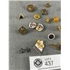 Image 2 : Lot Of Vintage Membership Pins - Lions, Scouts & More