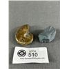 Image 2 : Hematite Stone & Ammonite Fossil Specimen. Retails $180.00 Each