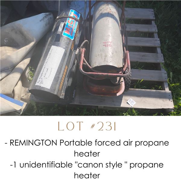 Lot 231