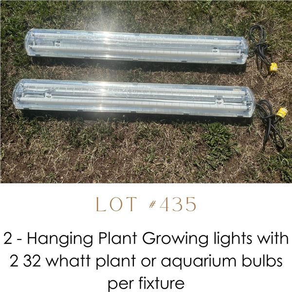 Lot 435