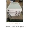 Image 1 : Lot 453