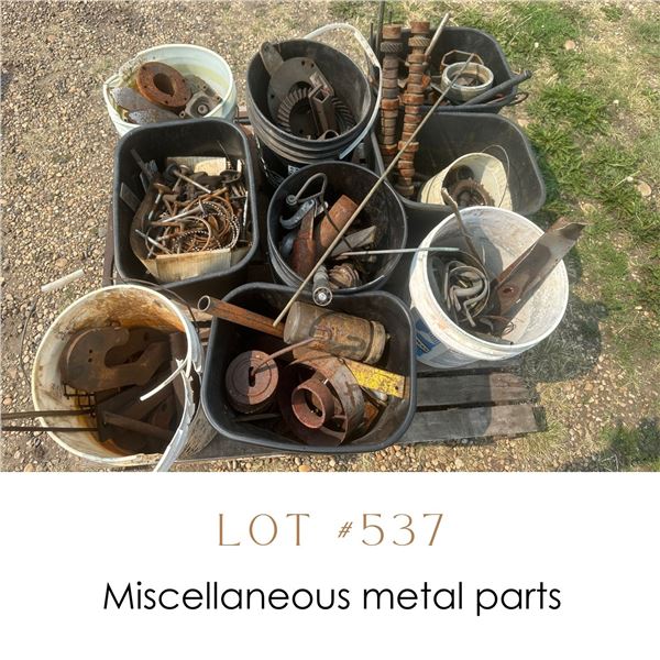 Lot 537