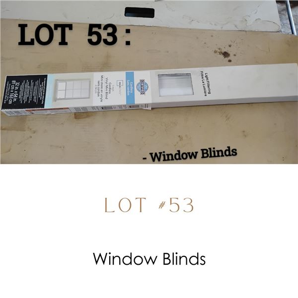 Lot 53