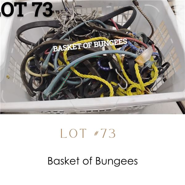 Lot 73