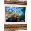 Image 2 : Signed Water Photos