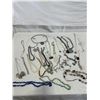 Image 1 : Necklaces Lot